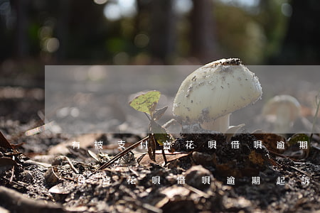 有被支付寶花唄借唄逾期起訴的嗎?-有被支付寶花唄借唄逾期起訴的嗎知乎