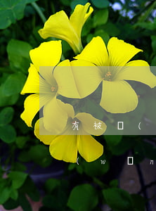 有被網(wǎng)貸起訴的人么(有人被網(wǎng)貸起訴過嗎2019)