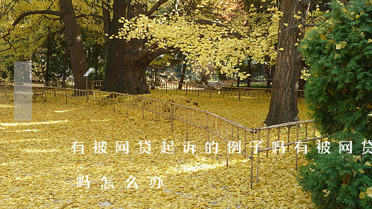 有被网贷起诉的例子吗 有被网贷起诉的例子吗怎么办
