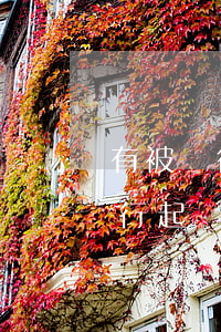 有被銀行起訴記錄能申請信用卡嗎-有被銀行起訴記錄能申請信用卡嗎知乎
