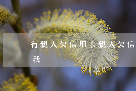 有親人欠信用卡 親人欠信用卡的錢電話打給我