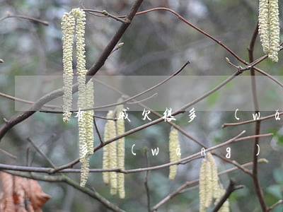 有親戚欠很多網(wǎng)貸(家人欠了很多網(wǎng)貸)