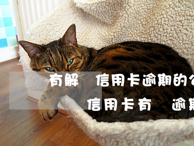 有解決信用卡逾期的公司嗎（企業(yè)面試問信用卡有過逾期沒）