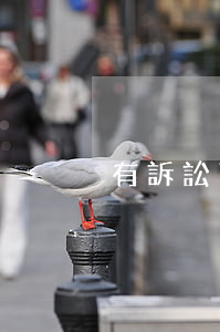 有訴訟可以先賣房嗎(打官司期間可以賣房嗎)