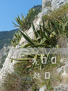 有訴訟的公司可以工商注銷嗎(公司注銷能否起訴)