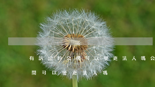 有訴訟的公司可以變更法人嗎(公司有訴訟期間可以變更法人嗎)