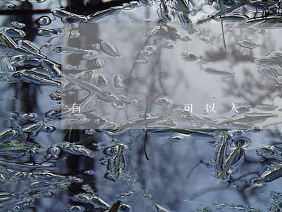 有訴訟記錄可以入黨嗎(相對不起訴后能入黨嗎)