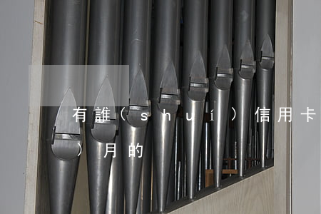 有誰(shuí)信用卡逾期好幾個(gè)月的