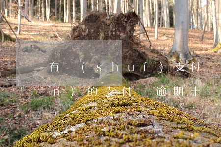 有誰(shuí)支付寶逾期有上門(mén)的(支付寶逾期十幾天說(shuō)要上門(mén))