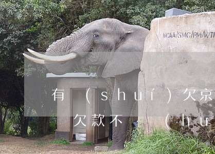 有誰(shuí)欠京東白條沒還錢(京東白條欠款不還會(huì)怎樣)