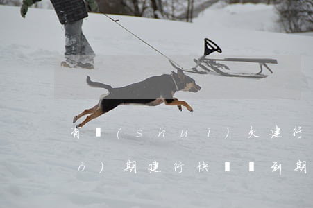 有誰(shuí)欠建行快貸的錢過(guò)期(建行快貸沒到期還了還能貸出來(lái)嗎)