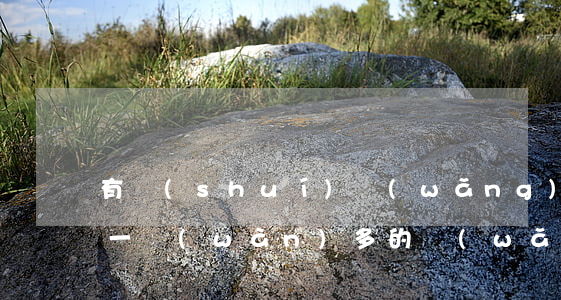 有誰(shuí)網(wǎng)貸逾期欠一萬(wàn)多的(網(wǎng)貸欠款一萬(wàn)逾期會(huì)上門(mén)嗎)
