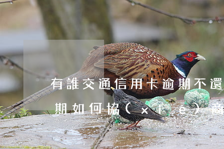 有誰交通信用卡逾期不還的(交通銀信用卡逾期如何協(xié)商還款?)
