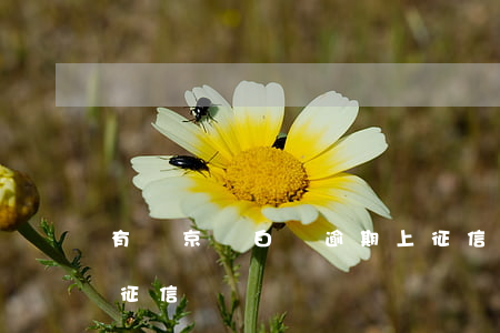 有誰京東白條逾期上征信(京東白條逾期納入征信嗎)