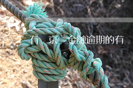有誰京東金融逾期的 有誰京東金融逾期的