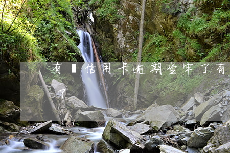 有誰信用卡逾期坐牢了（有誰信用卡逾期坐牢了）