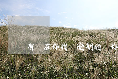 有誰在你我貸逾期的嗎(你我貸還有嗎)