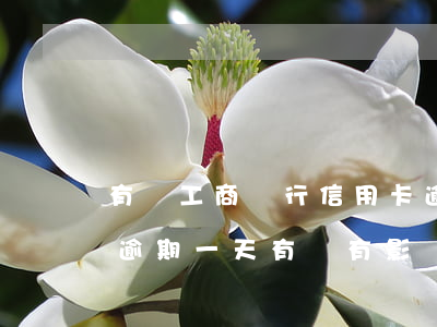 有誰工商銀行信用卡逾期的 工商銀行信用卡逾期一天有沒有影響?