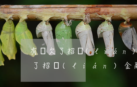 有誰欠了招聯(lián)金融的錢沒還(欠了招聯(lián)金融的錢,他們說已經起訴了)