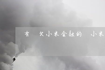 有誰欠小米金融的錢(小米金融的錢有追回的嗎)
