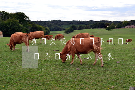 有誰欠恒易貸錢不還會(huì)怎樣(恒易貸不還有什么后果)