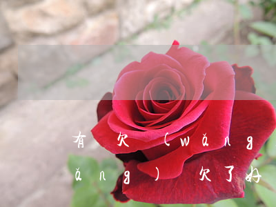 有誰欠網(wǎng)貸超過一年的(網(wǎng)貸欠了好幾年)