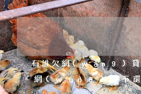 有誰欠網(wǎng)貸還不上(有沒有人欠網(wǎng)貸不還的)