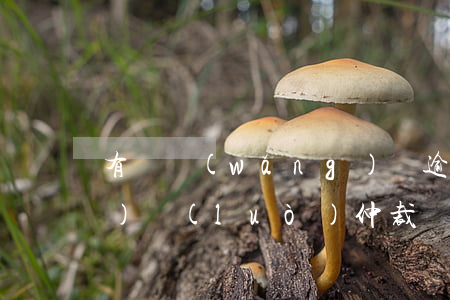 有誰網(wǎng)貸逾期被網(wǎng)絡(luò)仲裁(網(wǎng)貸欠款仲裁是真的嗎)