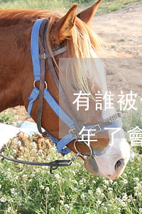 有誰被信用卡逾期上門催收過（信用卡逾期半年了會上門催賬嗎）