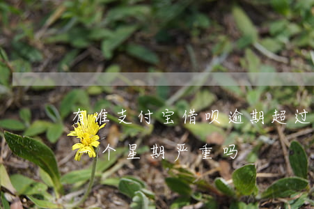 有谁支付宝借呗逾期超过一周的-借呗逾期一个星期严重吗