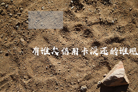 有谁欠信用卡没还的（谁现在欠信用卡没还的）