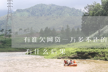有谁欠网贷一万多不还的(网贷一万多不还会有什么后果)