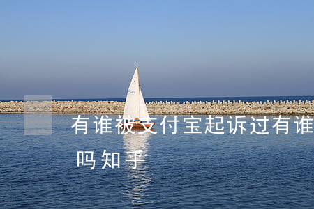 有谁被支付宝起诉过(有谁被支付宝起诉过的吗知乎)