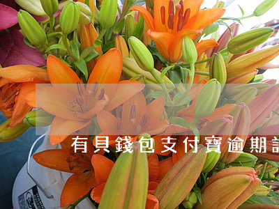 有貝錢包支付寶逾期記錄