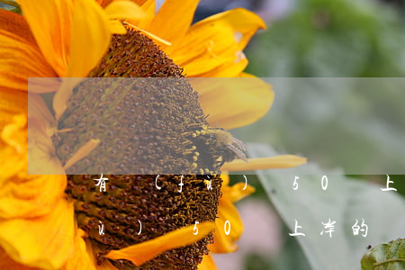 有負(fù)債50萬上岸的嗎-有負(fù)債50萬上岸的嗎