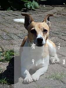有負(fù)債無(wú)逾期影響申請(qǐng)信用卡么-有負(fù)債無(wú)逾期影響申請(qǐng)信用卡么