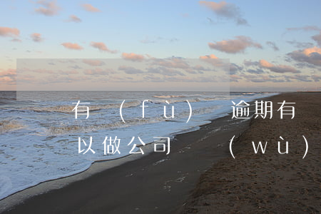 有負(fù)債逾期(有負(fù)債逾期可以做公司財務(wù)負(fù)責(zé)人嗎)