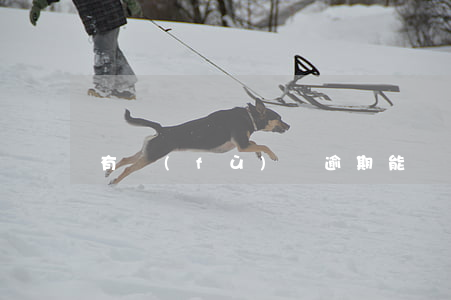 有負(fù)債逾期能辦信用卡嗎