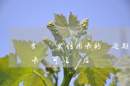 有負債欠信用卡的錢逾期能開店嗎-欠信用卡錢可以開店嗎
