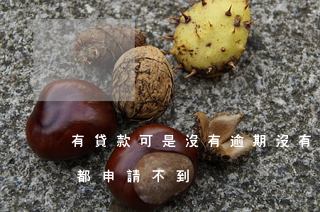 有貸款可是沒有逾期(沒有逾期為啥各種貸款都申請不到?)
