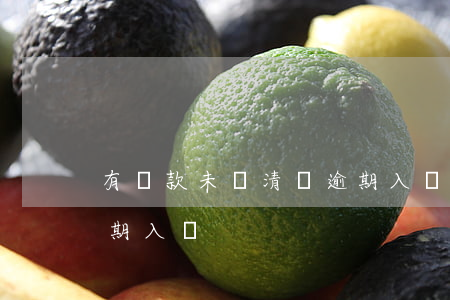 有貸款未結清沒逾期入黨(有貸款未結清沒逾期入黨)