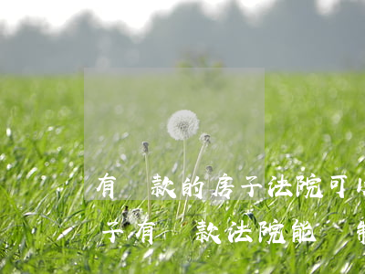 有貸款的房子法院可以執(zhí)行嗎(房子有貸款法院能強制執(zhí)行嗎)