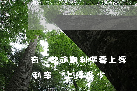 有貸款逾期利率要上浮嗎(征信逾期按揭貸款利率會上浮多少)
