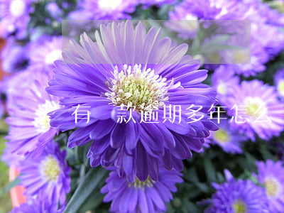 有貸款逾期多年怎么辦(有貸款逾期多年怎么辦)