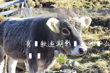 有貸款逾期影響交保險么(貸款逾期影響買保險嗎)