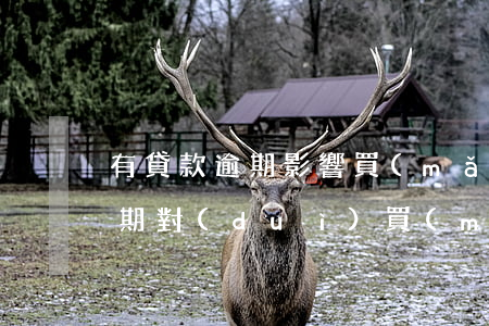 有貸款逾期影響買(mǎi)房子嗎(貸款逾期對(duì)買(mǎi)房有影響嗎)