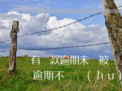有貸款逾期未還被凍結(jié)微信(貸款逾期不還會(huì)不會(huì)凍結(jié)微信支付寶)
