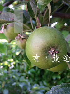 有貸款逾期的可以供車嗎(有逾期還能貸款買車嗎)