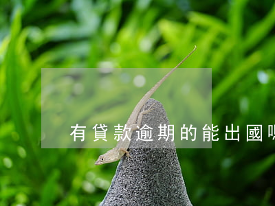 有貸款逾期的能出國嗎(有貸款可以出國嗎)