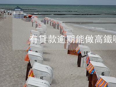 有貸款逾期能做高鐵嗎(逾期坐高鐵會怎么樣)
